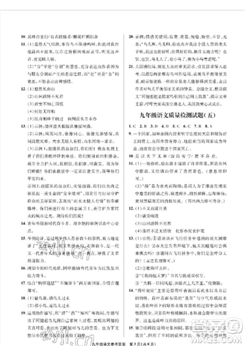 青岛出版社2023测试卷九年级语文下册人教版参考答案