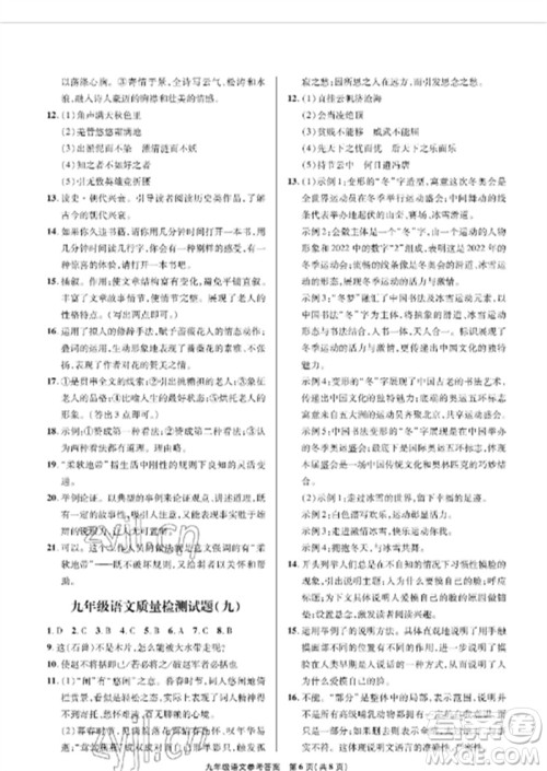 青岛出版社2023测试卷九年级语文下册人教版参考答案