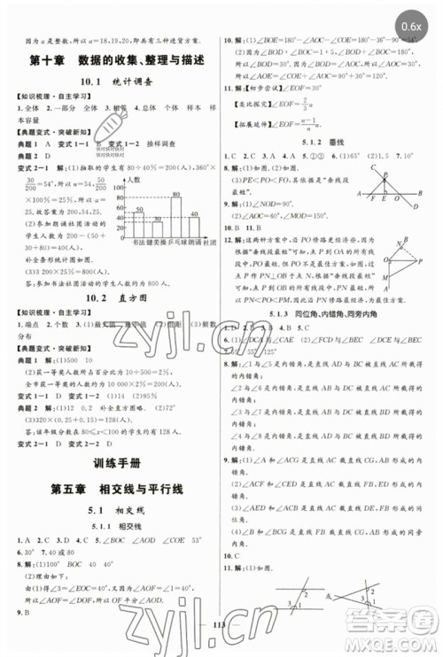 河北少年儿童出版社2023夺冠百分百新导学课时练七年级数学下册人教版参考答案