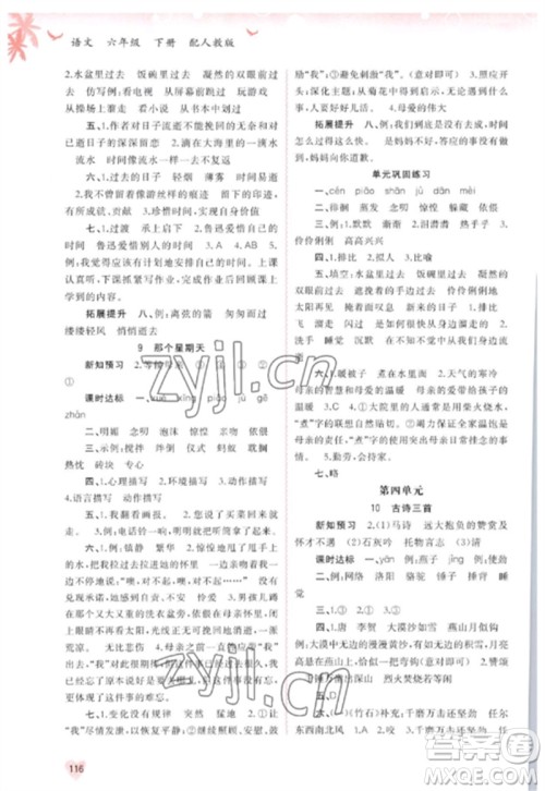 广西师范大学出版社2023新课程学习与测评同步学习六年级语文下册人教版参考答案