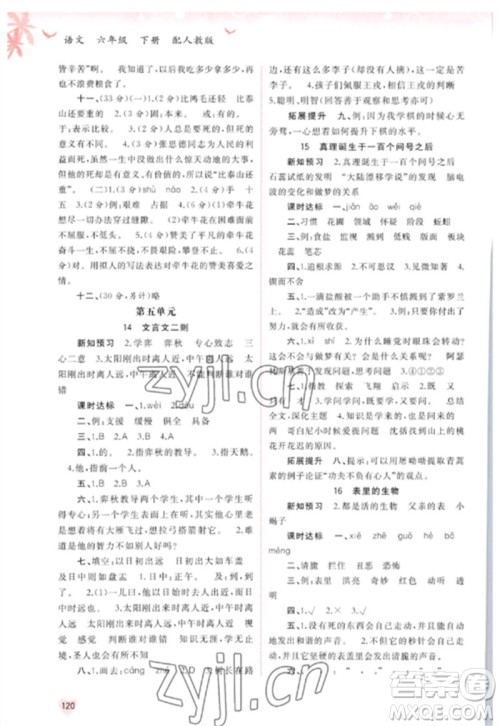 广西师范大学出版社2023新课程学习与测评同步学习六年级语文下册人教版参考答案