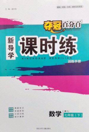 河北少年儿童出版社2023夺冠百分百新导学课时练七年级数学下册人教版参考答案