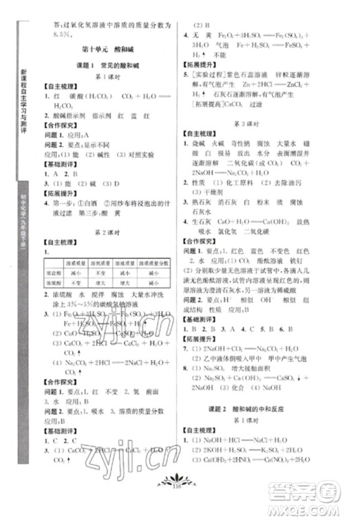 南京师范大学出版社2023新课程自主学习与测评九年级化学下册人教版参考答案