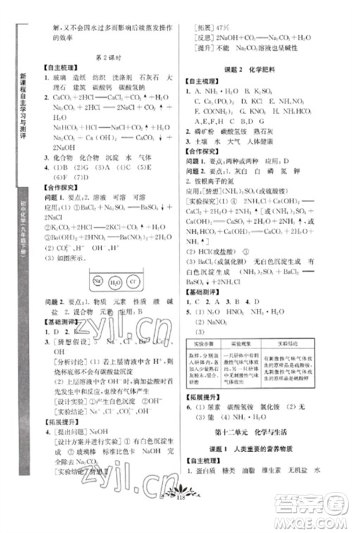 南京师范大学出版社2023新课程自主学习与测评九年级化学下册人教版参考答案