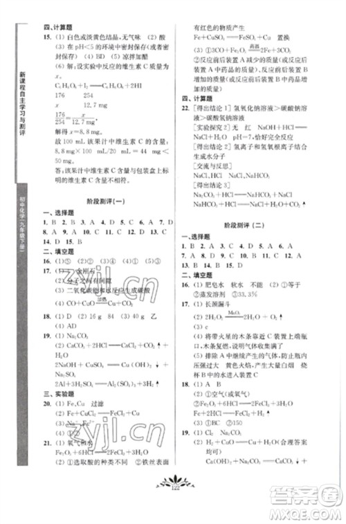 南京师范大学出版社2023新课程自主学习与测评九年级化学下册人教版参考答案