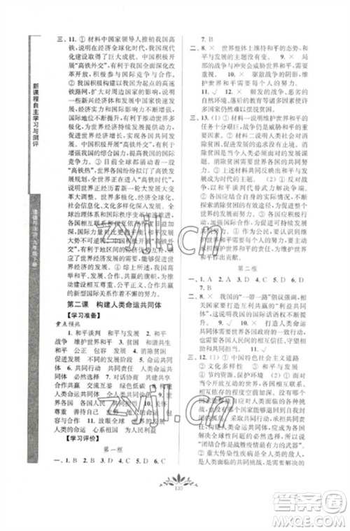南京师范大学出版社2023新课程自主学习与测评九年级道德与法治下册人教版参考答案