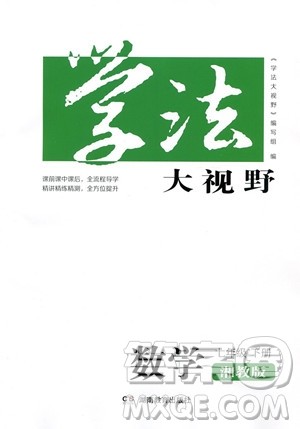 湖南教育出版社2023学法大视野七年级下册数学湘教版参考答案