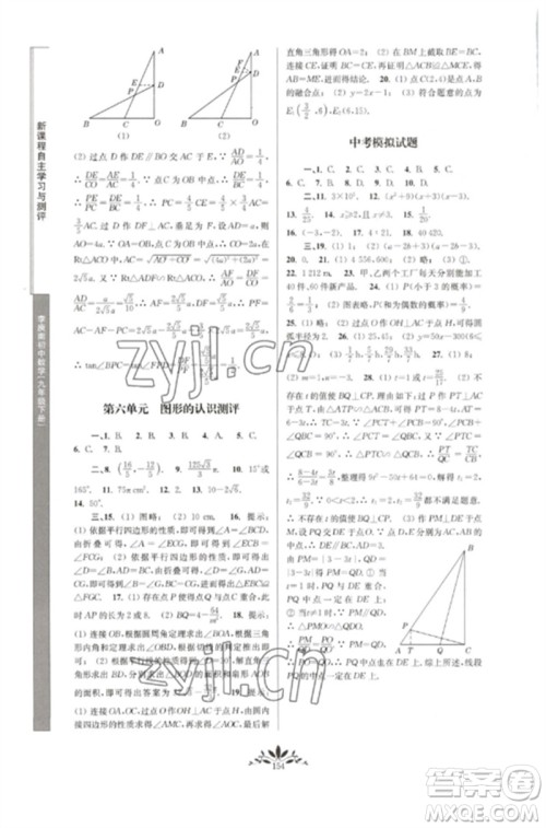 南京师范大学出版社2023新课程自主学习与测评九年级数学下册人教版参考答案