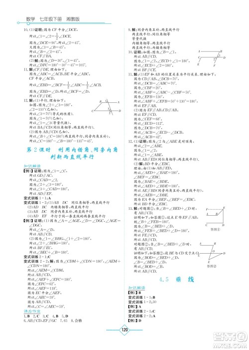 湖南教育出版社2023学法大视野七年级下册数学湘教版参考答案