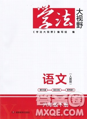 湖南教育出版社2023学法大视野六年级下册语文人教版参考答案