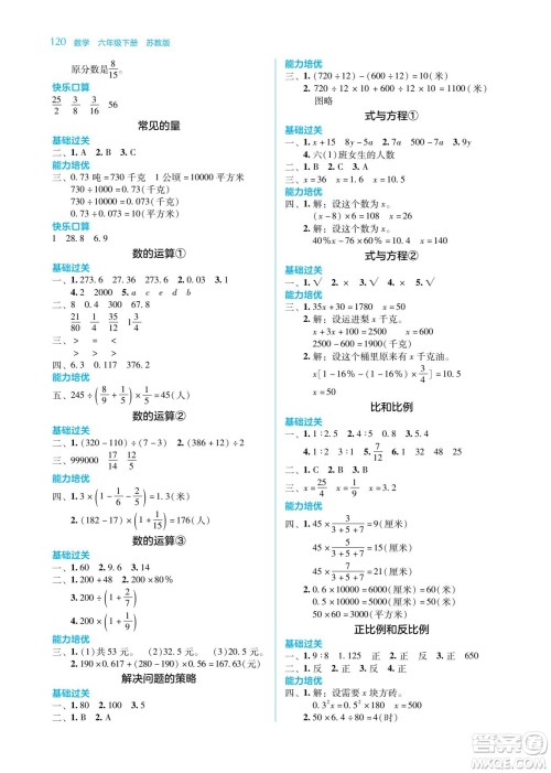 湖南教育出版社2023学法大视野六年级下册数学苏教版参考答案