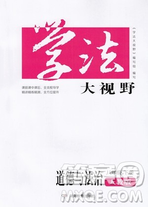 湖南教育出版社2023学法大视野八年级下册道德与法治人教版参考答案