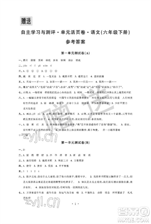 江苏凤凰科学技术出版社2023自主学习与测评单元活页卷六年级语文下册人教版参考答案