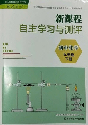 南京师范大学出版社2023新课程自主学习与测评九年级化学下册人教版参考答案