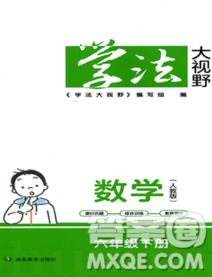 湖南教育出版社2023学法大视野六年级下册数学人教版参考答案