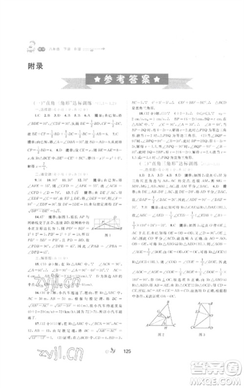 广西师范大学出版社2023新课程学习与测评单元双测八年级数学下册湘教版B版参考答案