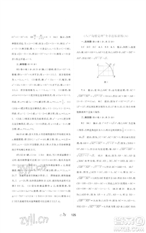 广西师范大学出版社2023新课程学习与测评单元双测八年级数学下册沪科版C版参考答案 广西师范大学出版社2023新课程学习与测评单元双测八年级数学下册沪科版C版参考答案