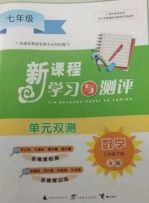 广西师范大学出版社2023新课程学习与测评单元双测七年级数学下册人教版A版参考答案