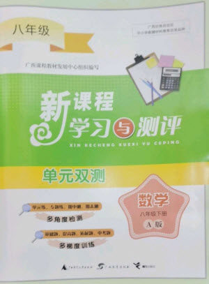 广西师范大学出版社2023新课程学习与测评单元双测八年级数学下册人教版A版参考答案