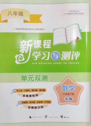 广西师范大学出版社2023新课程学习与测评单元双测八年级数学下册湘教版B版参考答案