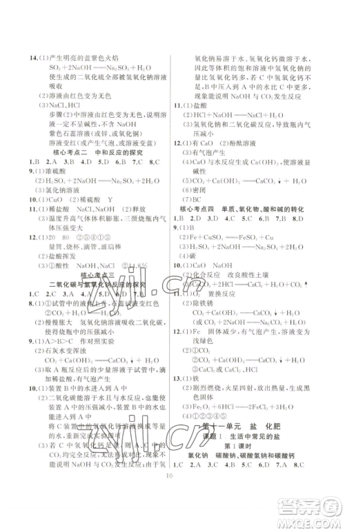 延边大学出版社2023高手点题九年级下册化学人教版参考答案 延边大学出版社2023高手点题九年级下册化学人教版参考答案