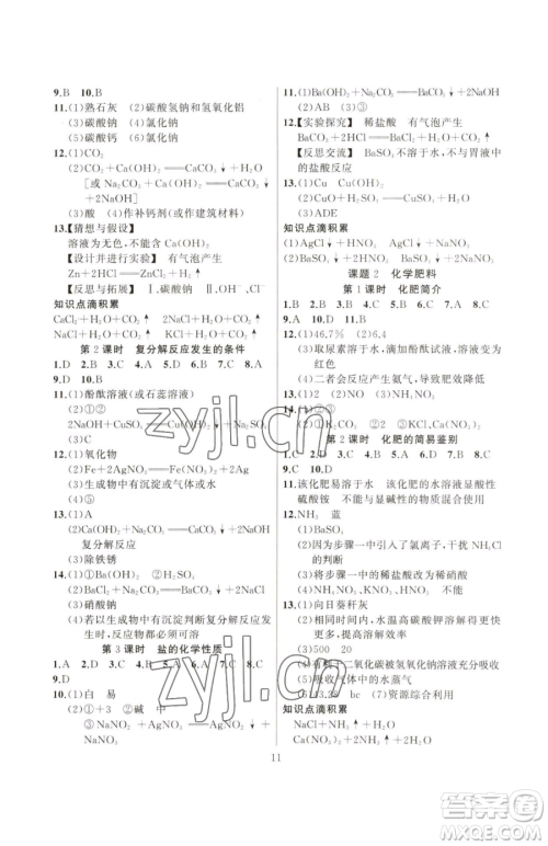 延边大学出版社2023高手点题九年级下册化学人教版参考答案