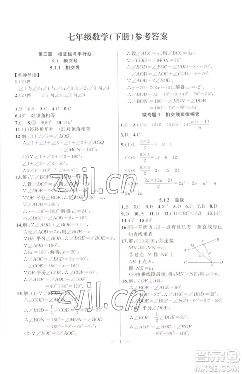 延边大学出版社2023高手点题七年级下册数学人教版参考答案