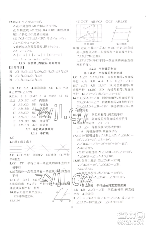 延边大学出版社2023高手点题七年级下册数学人教版参考答案