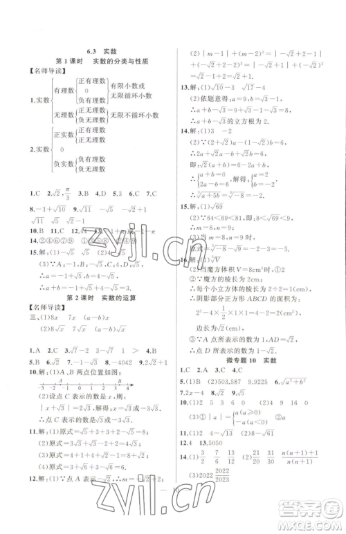 延边大学出版社2023高手点题七年级下册数学人教版参考答案