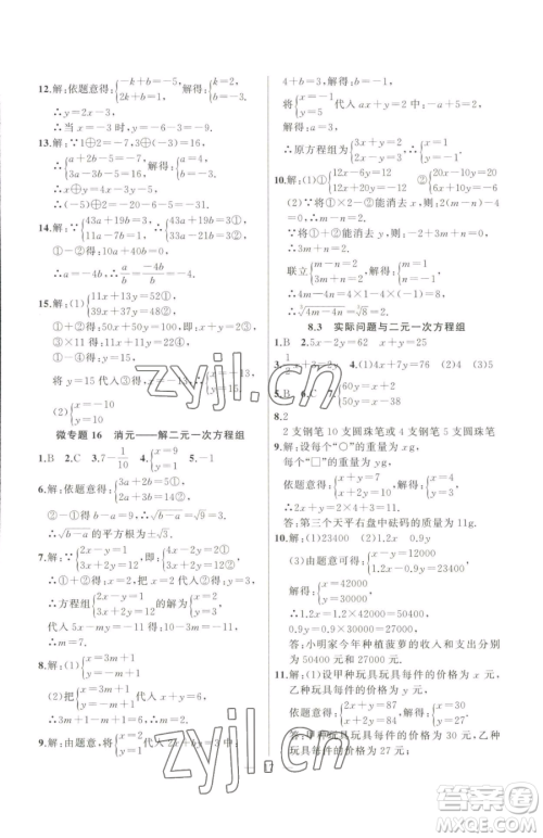 延边大学出版社2023高手点题七年级下册数学人教版参考答案