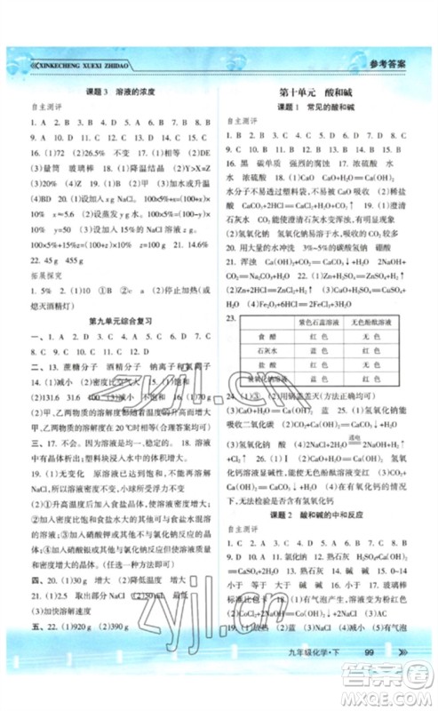 南方出版社2023新课程学习指导九年级化学下册人教版参考答案 南方出版社2023新课程学习指导九年级化学下册人教版参考答案