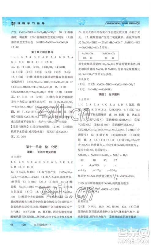 南方出版社2023新课程学习指导九年级化学下册人教版参考答案 南方出版社2023新课程学习指导九年级化学下册人教版参考答案