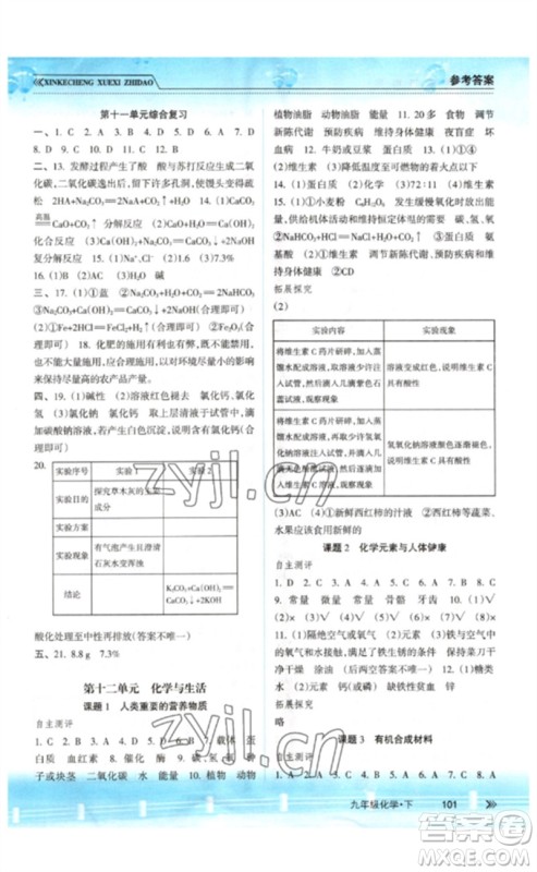 南方出版社2023新课程学习指导九年级化学下册人教版参考答案