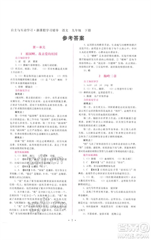 广西师范大学出版社2023新课程学习辅导九年级语文下册人教版参考答案