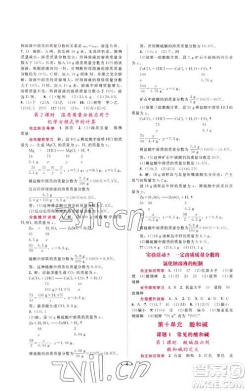 广西师范大学出版社2023新课程学习辅导九年级化学下册人教版参考答案