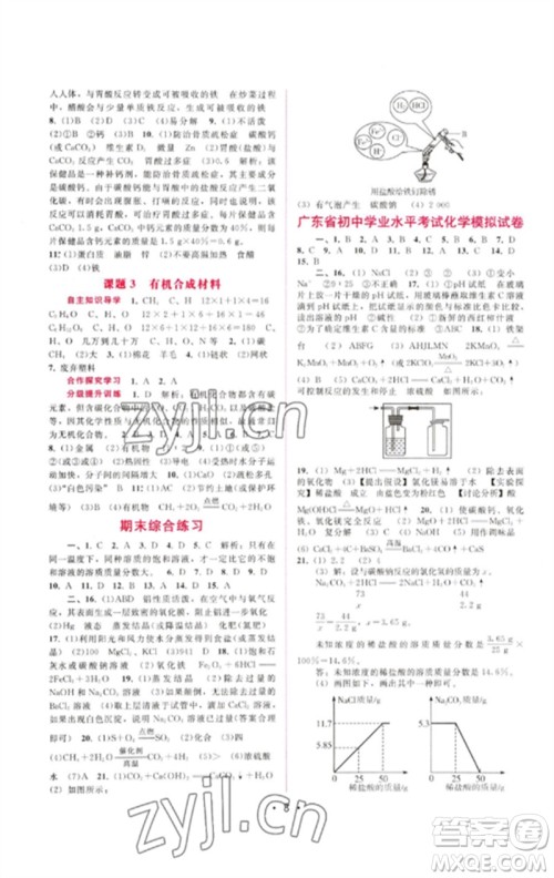 广西师范大学出版社2023新课程学习辅导九年级化学下册人教版参考答案