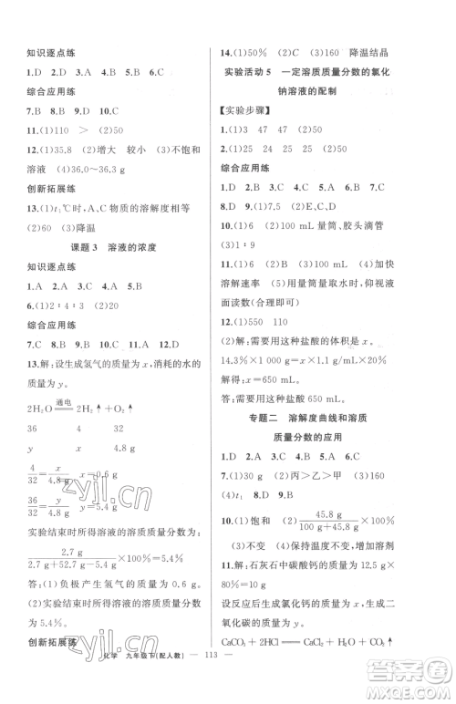 新疆青少年出版社2023黄冈金牌之路练闯考九年级下册化学人教版参考答案