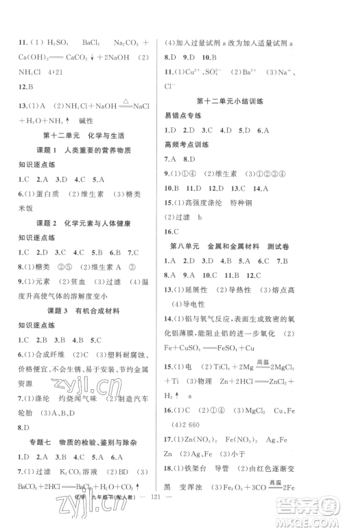 新疆青少年出版社2023黄冈金牌之路练闯考九年级下册化学人教版参考答案