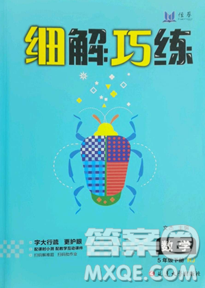 延边大学出版社2023细解巧练五年级下册数学人教版参考答案