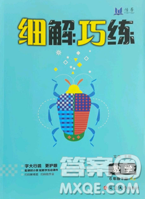 延边大学出版社2023细解巧练六年级下册数学人教版参考答案