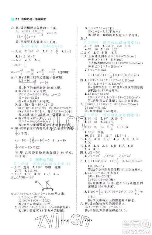 延边大学出版社2023细解巧练六年级下册数学人教版参考答案