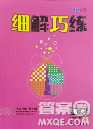 延边大学出版社2023细解巧练六年级下册语文人教版参考答案 延边大学出版社2023细解巧练六年级下册语文人教版参考答案