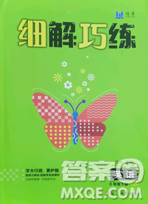 延边大学出版社2023细解巧练六年级下册英语人教版参考答案