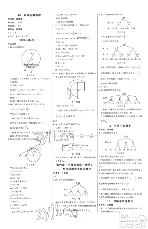 延边大学出版社2023细解巧练九年级下册数学鲁教版五四制参考答案