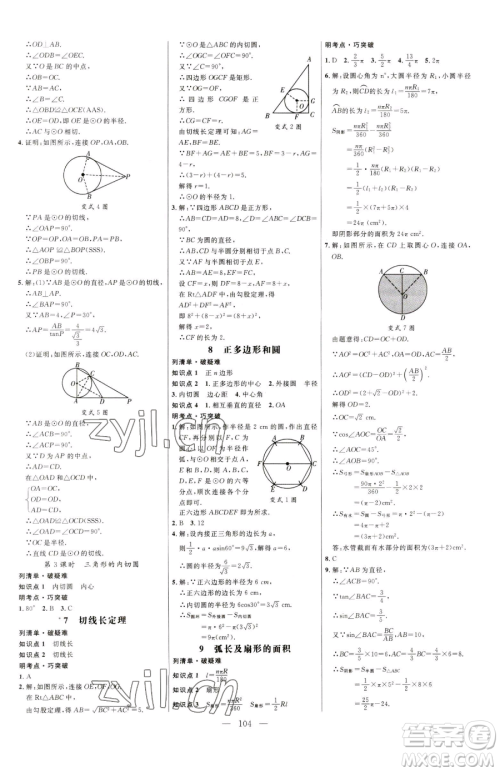 延边大学出版社2023细解巧练九年级下册数学鲁教版五四制参考答案