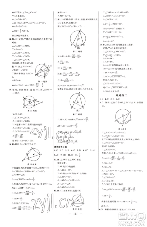 延边大学出版社2023细解巧练九年级下册数学鲁教版五四制参考答案