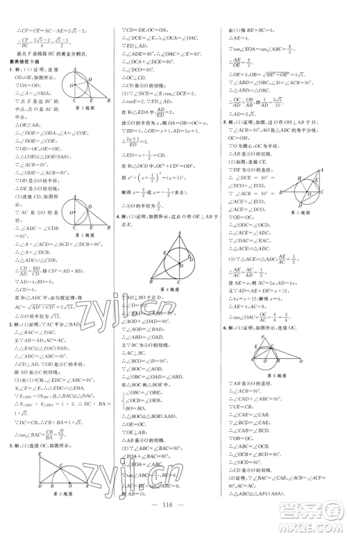 延边大学出版社2023细解巧练九年级下册数学鲁教版五四制参考答案