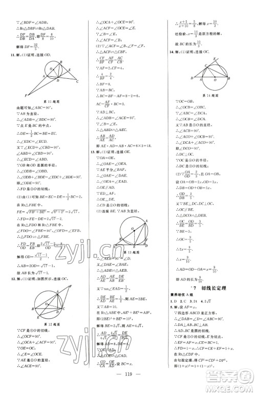 延边大学出版社2023细解巧练九年级下册数学鲁教版五四制参考答案