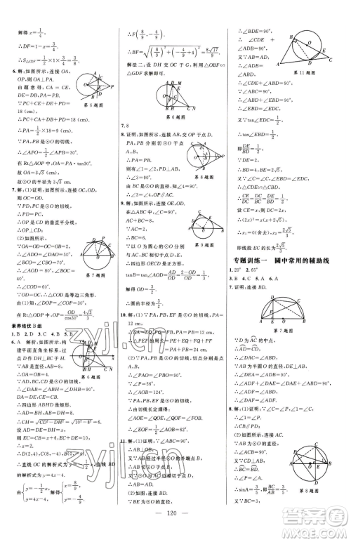 延边大学出版社2023细解巧练九年级下册数学鲁教版五四制参考答案