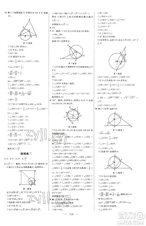 延边大学出版社2023细解巧练九年级下册数学鲁教版五四制参考答案